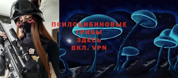 дурь Кулебаки