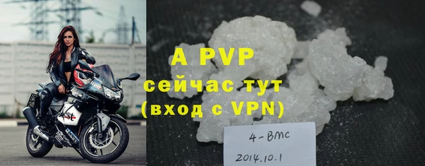 крисы Кукмор