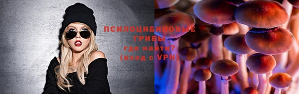 крисы Кукмор