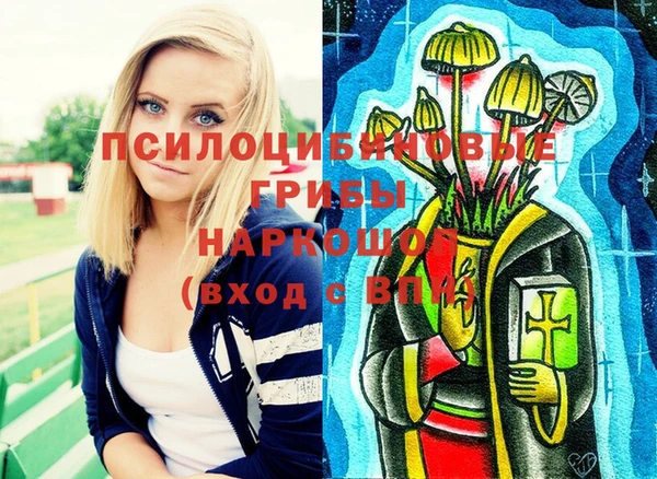 дурь Кулебаки